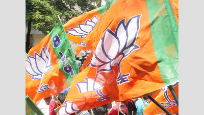 BJP leader hacked to death on Bengaluru outskirts