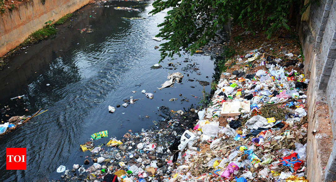 separate-wet-and-dry-waste-from-monday-lucknow-news-times-of-india