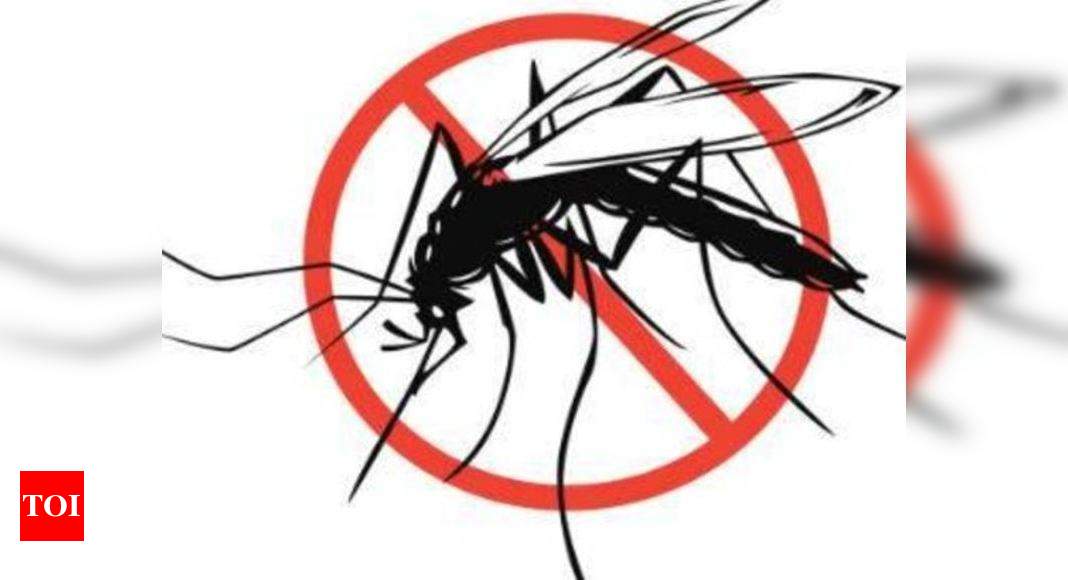 Malaria In Gurugram: Malaria onset: Two cases reported in Gurugram ...