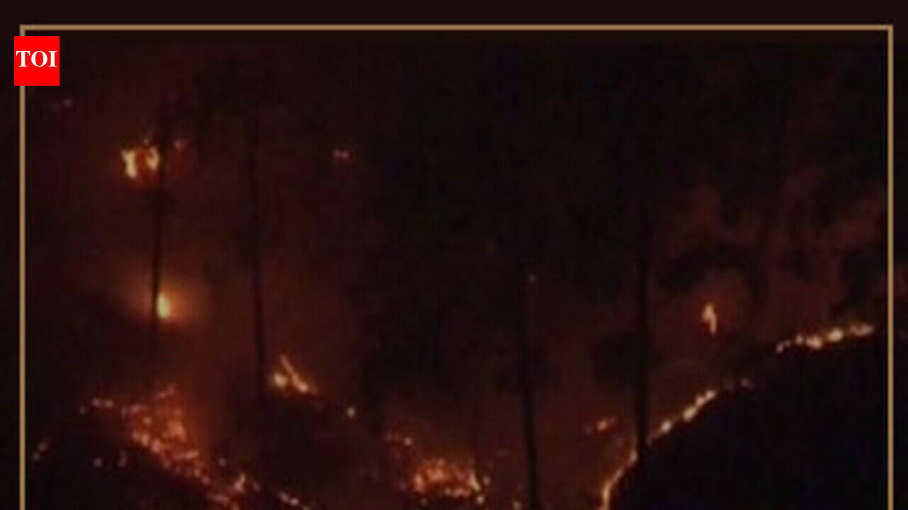Watch: Massive fire at J&K's Thanpal forest
