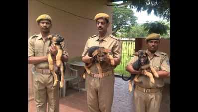 Odisha follows international rules, names dog squad K9