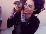 Christy Mack posing with an otter