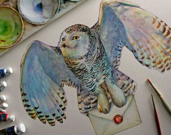 Owl Museum