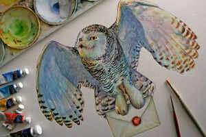 Owl Museum