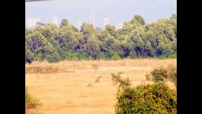 40% Hyderabad metropolitan development authority land trapped in legal wrangle