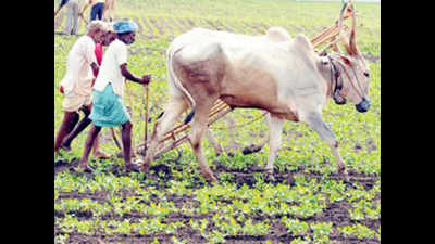 Karnataka: Drought-hit farmer gets Re 1 as compensation for crop
