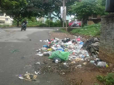BBMP 'pourakarmikas' launch indefinite strike, garbage disposal takes a beating