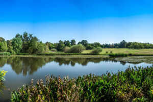 Greenside