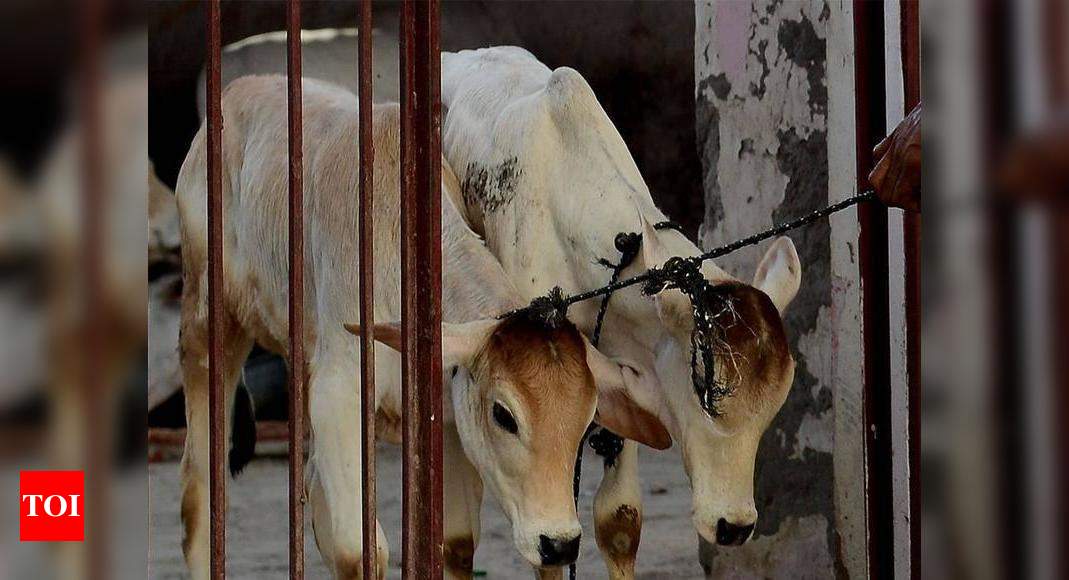 Beef Ban: Latest News, Photos, Videos On Beef Ban In Kerala | - Times ...