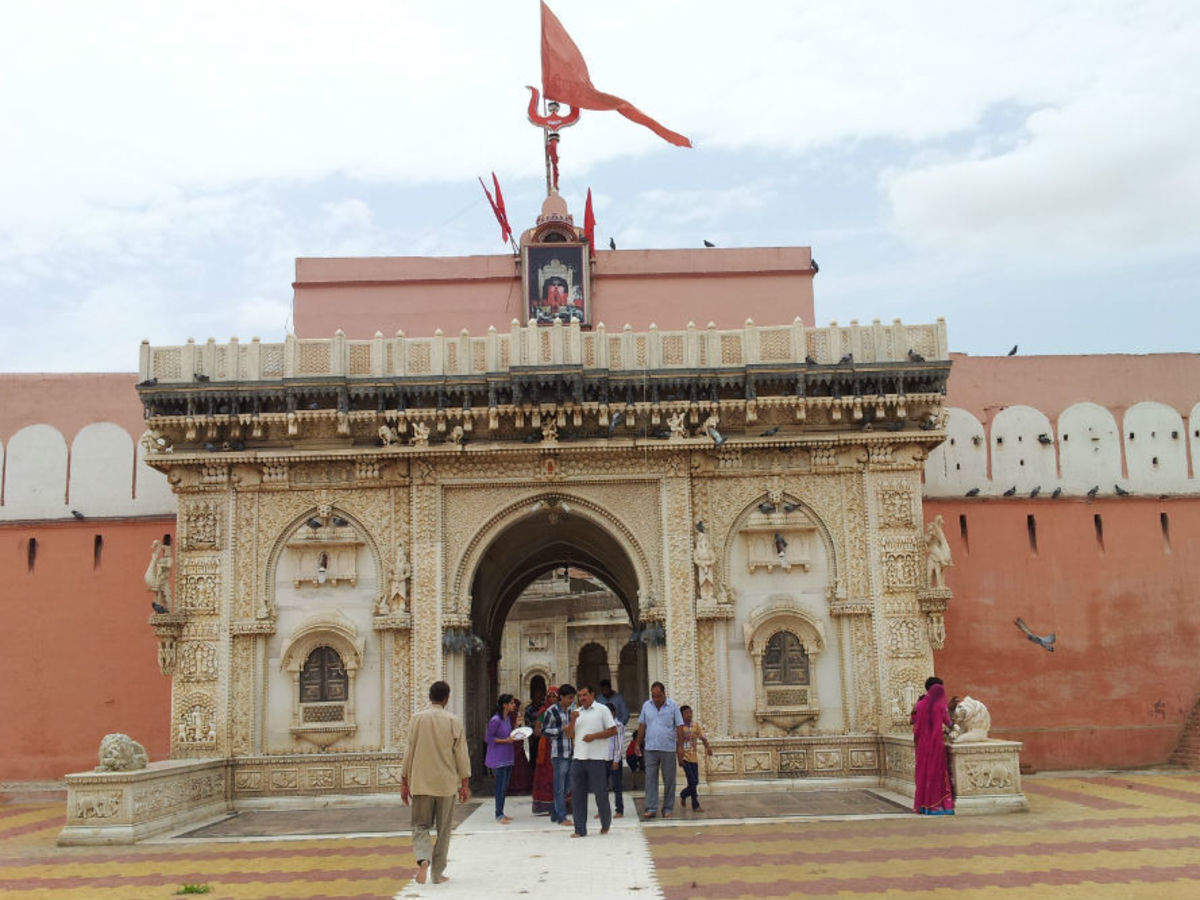 Nacht Broederschap natuurkundige Karni Mata Temple - Bikaner: Get the Detail of Karni Mata Temple on Times  of India Travel
