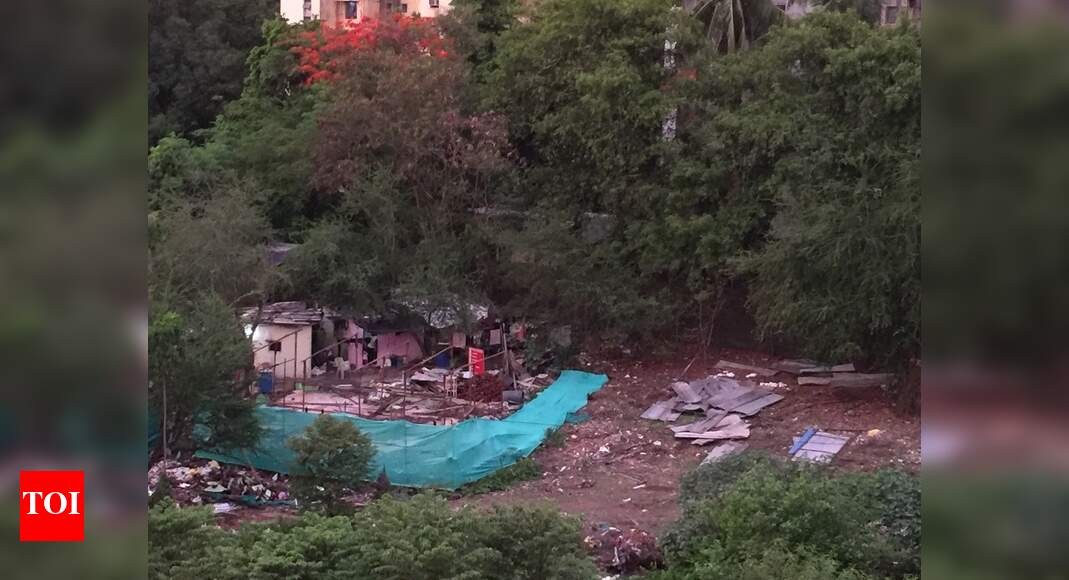 illegal encroachment. carried out continously Times of India