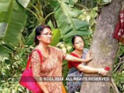 WB teachers embrace trees, fellers forced to flee
