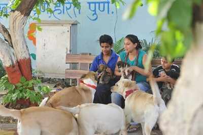 Pune's housing societies flout animal welfare guidelines | Pune News -  Times of India