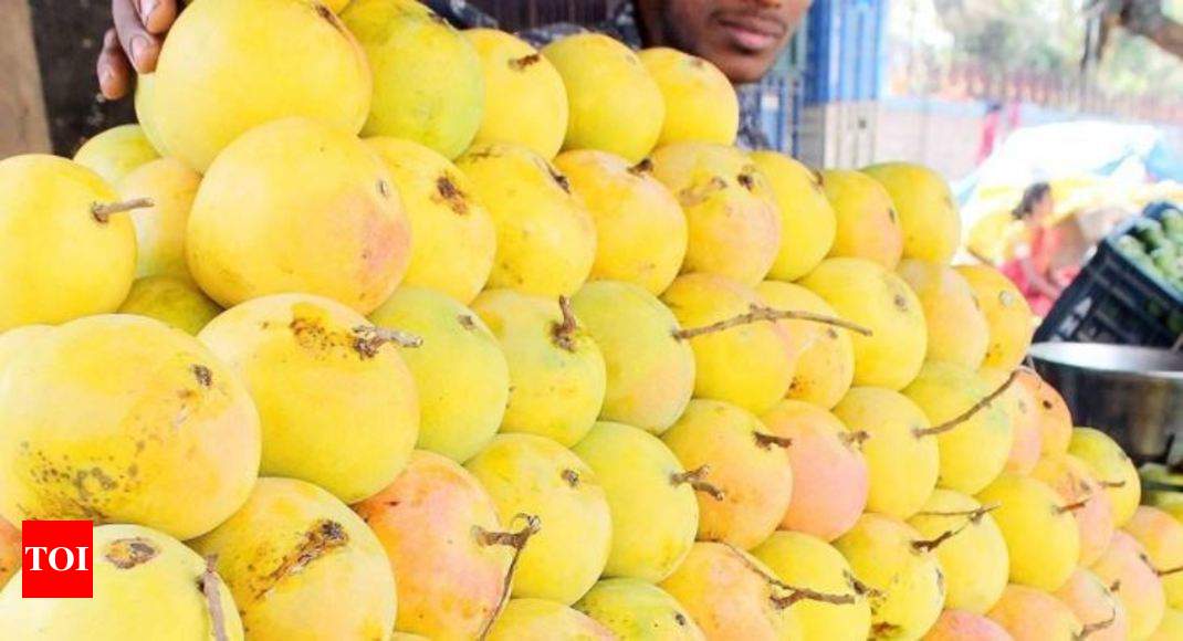 mango fest in lucknow Qissagoi, food carnival at UP mango festival