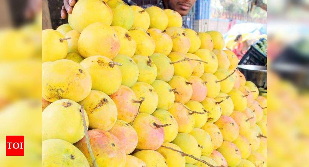 Mango Fest In Lucknow Qissagoi, food carnival at UP mango festival