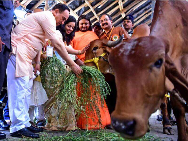 Subramanian Swamy praises gau rakshaks’ work at National meet on cow