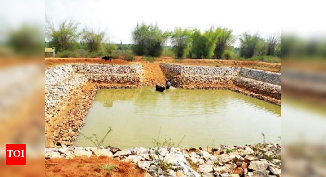 Tanks, borewells in Kumudavathi basin recharged now Bengaluru News