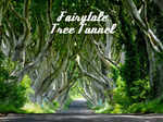 Fairytale tree tunnel