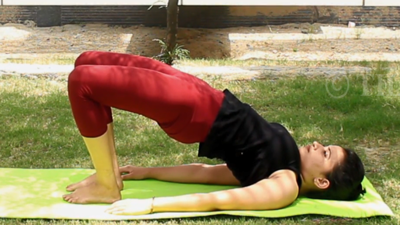 Asanas – Seated Poses - Yoga Path