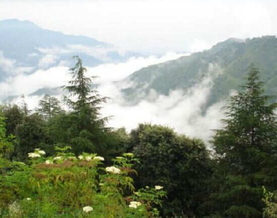 Places to visit in Chail for a relaxing vacation