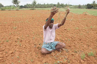 Karnataka waives crop loan up to Rs 50,000 per farmer