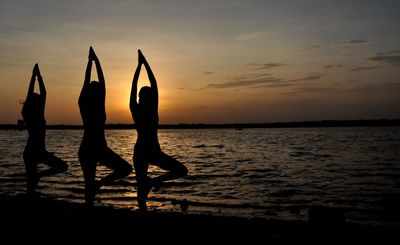 PAU celebrates International Yoga Day | Ludhiana News - Times of India