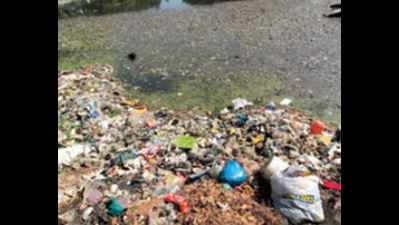 Residents irked as Chitlapakkam lake bed turns into dump yard