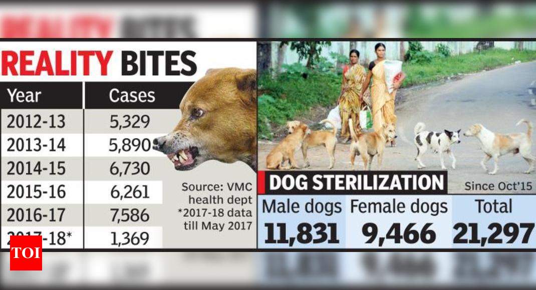 Spike in dog bite cases VMC surprised by large numbers Vadodara News