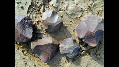 Stone age tools found along Rewa river show evolution of man