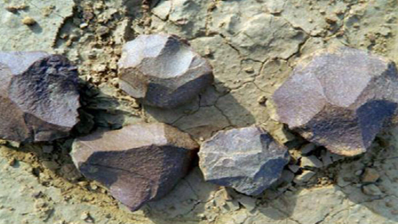paleolithic tools