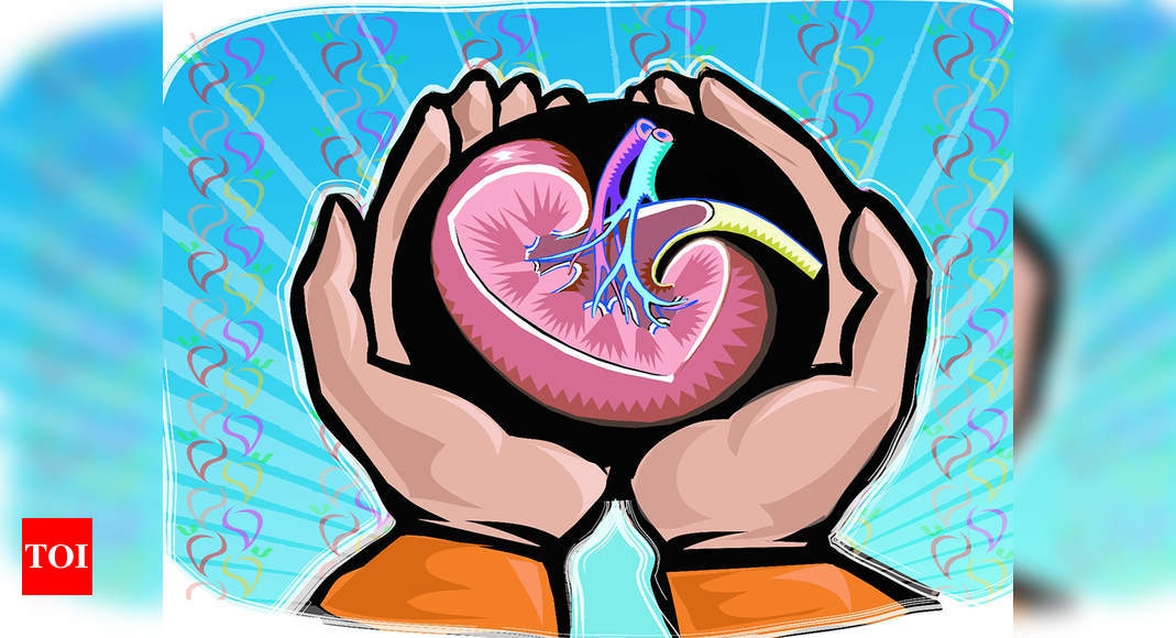 Feather In Cap 1000 Kidney Transplants Hyderabad News Times Of India