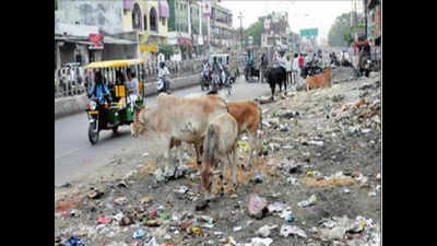More garbage than land for people in Delhi: HC