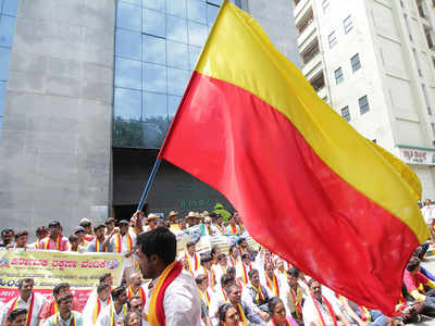 Kannada activists protest use of Hindi on Namma Metro | Bengaluru News -  Times of India