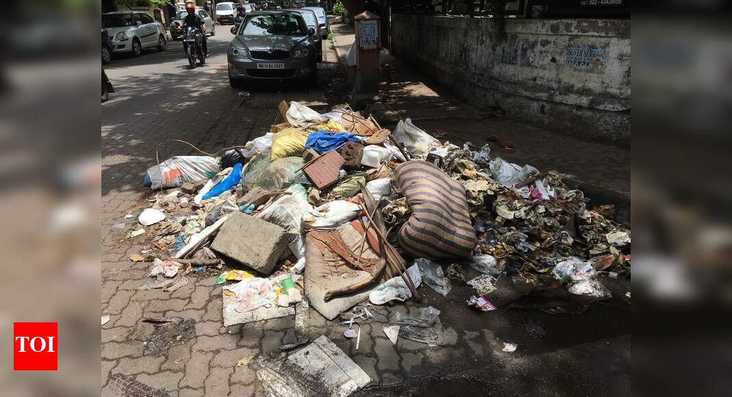 garbage just left on the side on the road - Times of India