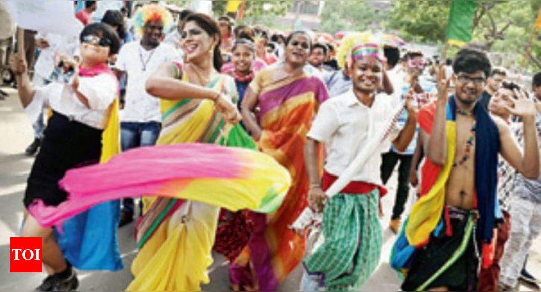 Chennai Pride Parade Marches Into 9th Year Chennai News Times Of India