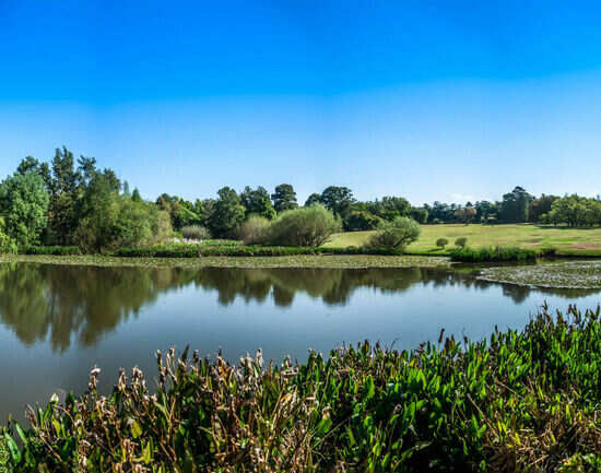 Greenside