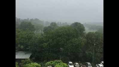 Video: Delhi wakes up to fresh morning showers