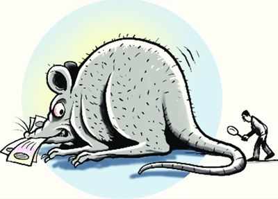 rat cic smells missing go india