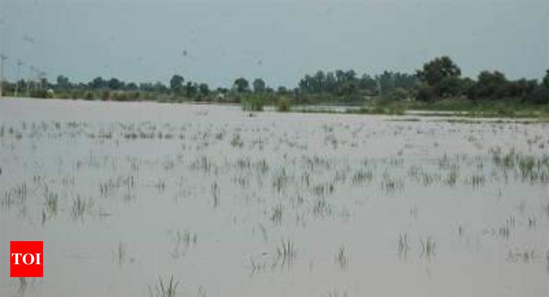 Manipur flood: Torrential rain triggers flash flood in Manipur | Imphal ...