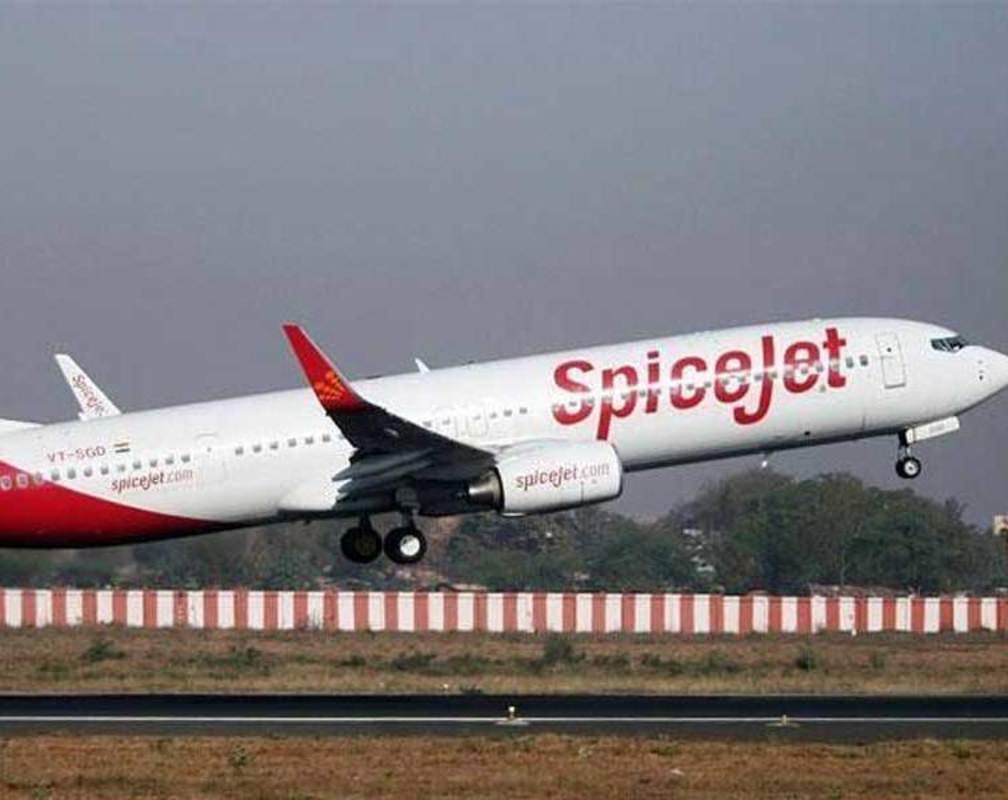 
Share transfer dispute: Delhi HC directs SpiceJet to deposit Rs 250 cr by Aug 31
