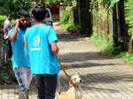 Volunteers of Animal Care Trust take part in a vaccination drive