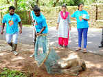 Volunteers catches stray dog