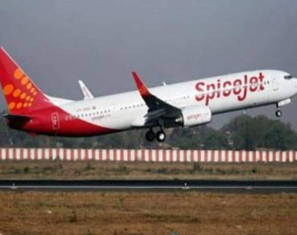 
High Court dismisses SpiceJet plea in share transfer row with Maran
