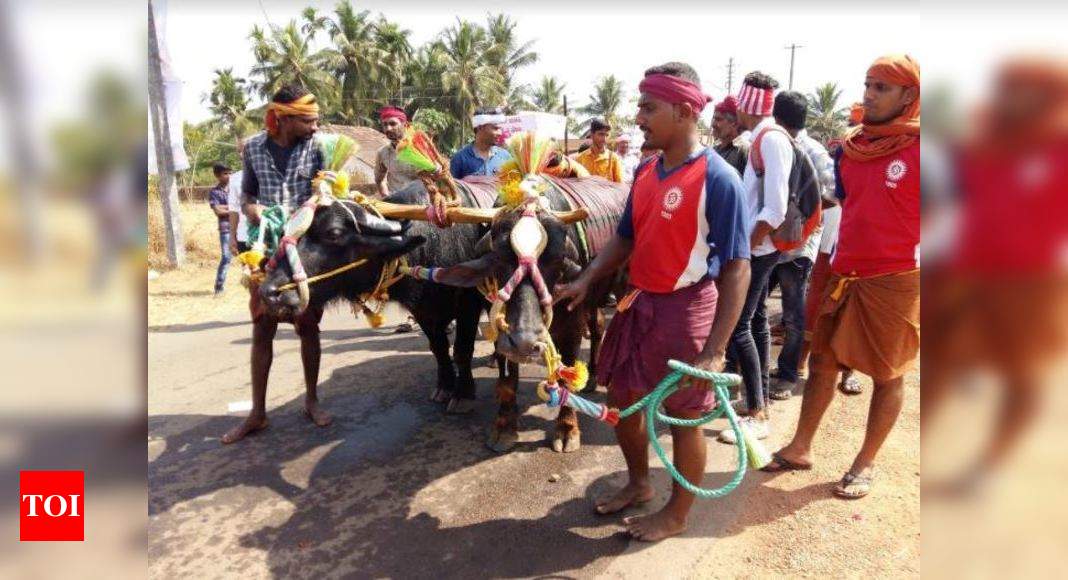 Samiti celebrates Vijayotsava to mark passage of Kambala ordinance ...