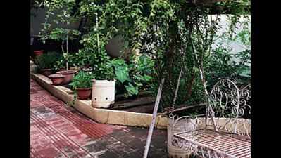 A finely-balanced kitchen garden that has plenty, and for everyone