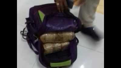 20 kg cannabis found in Devgiri Express at CST