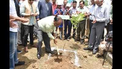 With one day to go, tree plantation drive exceeds 4 crore target