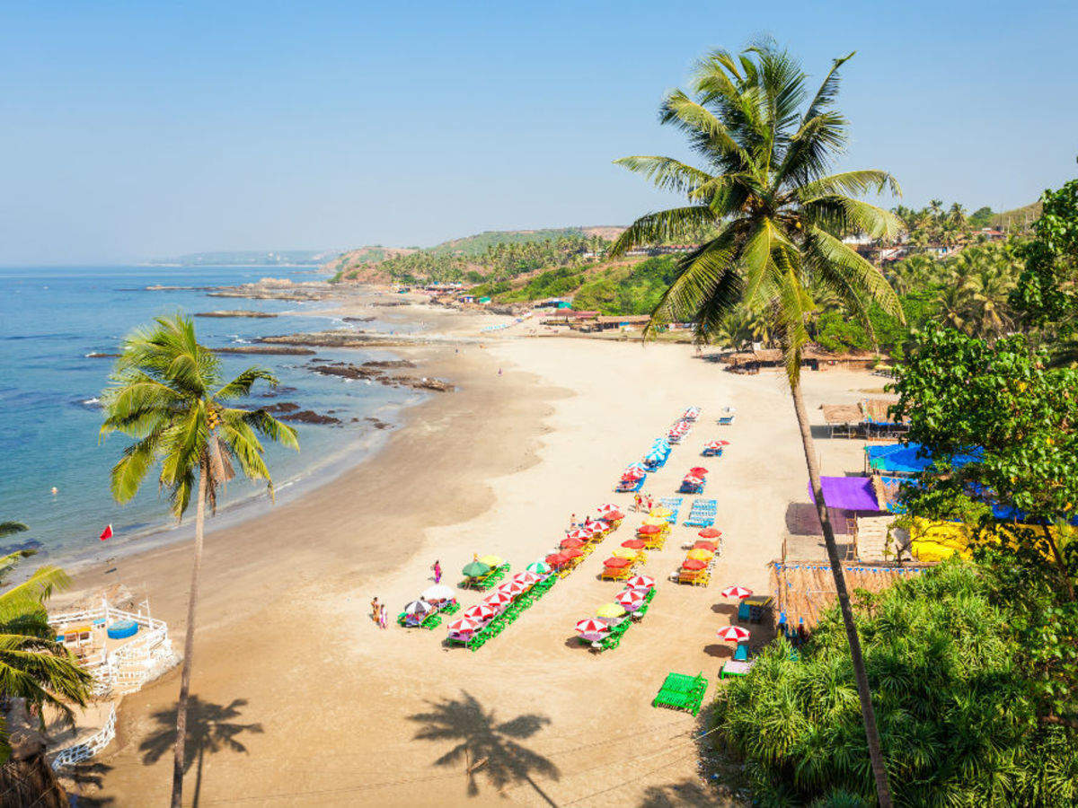 times travel goa