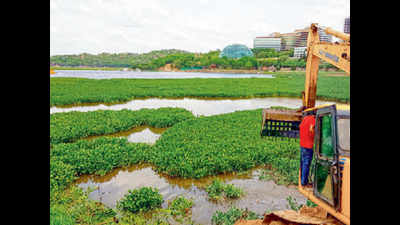 Durgam cheruvu restoration picks up pace, cable bridge in 16 months
