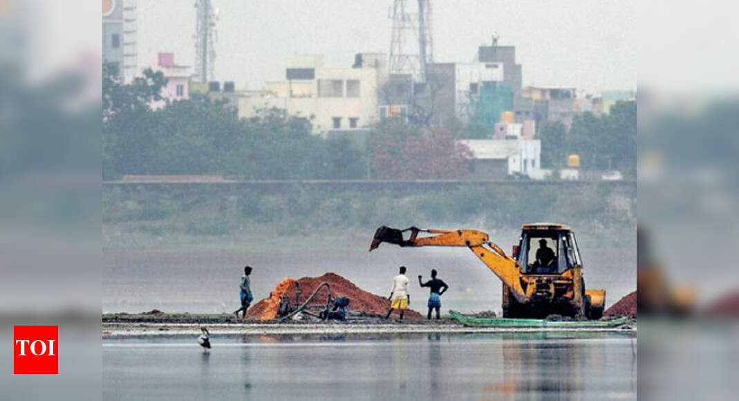 Harvest in the time of drought | Chennai News - Times of India